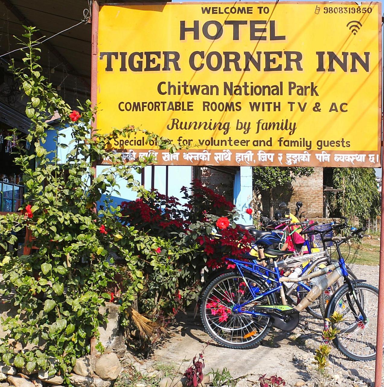 Tiger Corner Inn Homestay 索拉哈 外观 照片